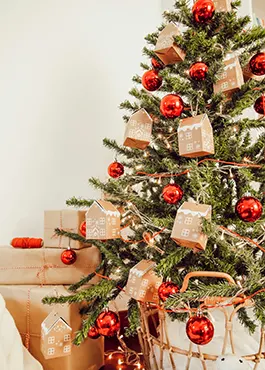 Knjižara Nova Osijek