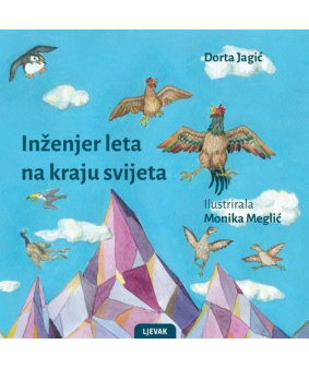 Inženjer leta na kraju svijeta 