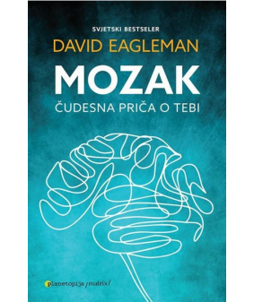Mozak - Čudesna priča o tebi