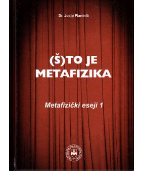 (Š)to je metafizika: Metafizički eseji 1