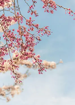 Knjižara Nova Osijek