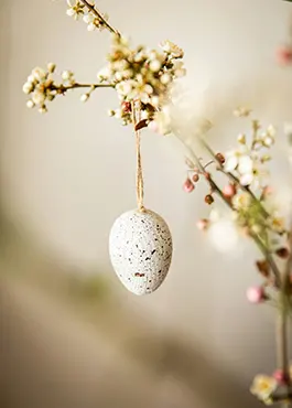 Knjižara Nova Osijek